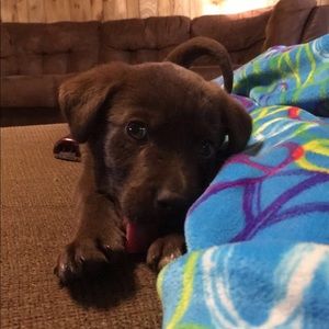 EVERYTHING IN CLOSET